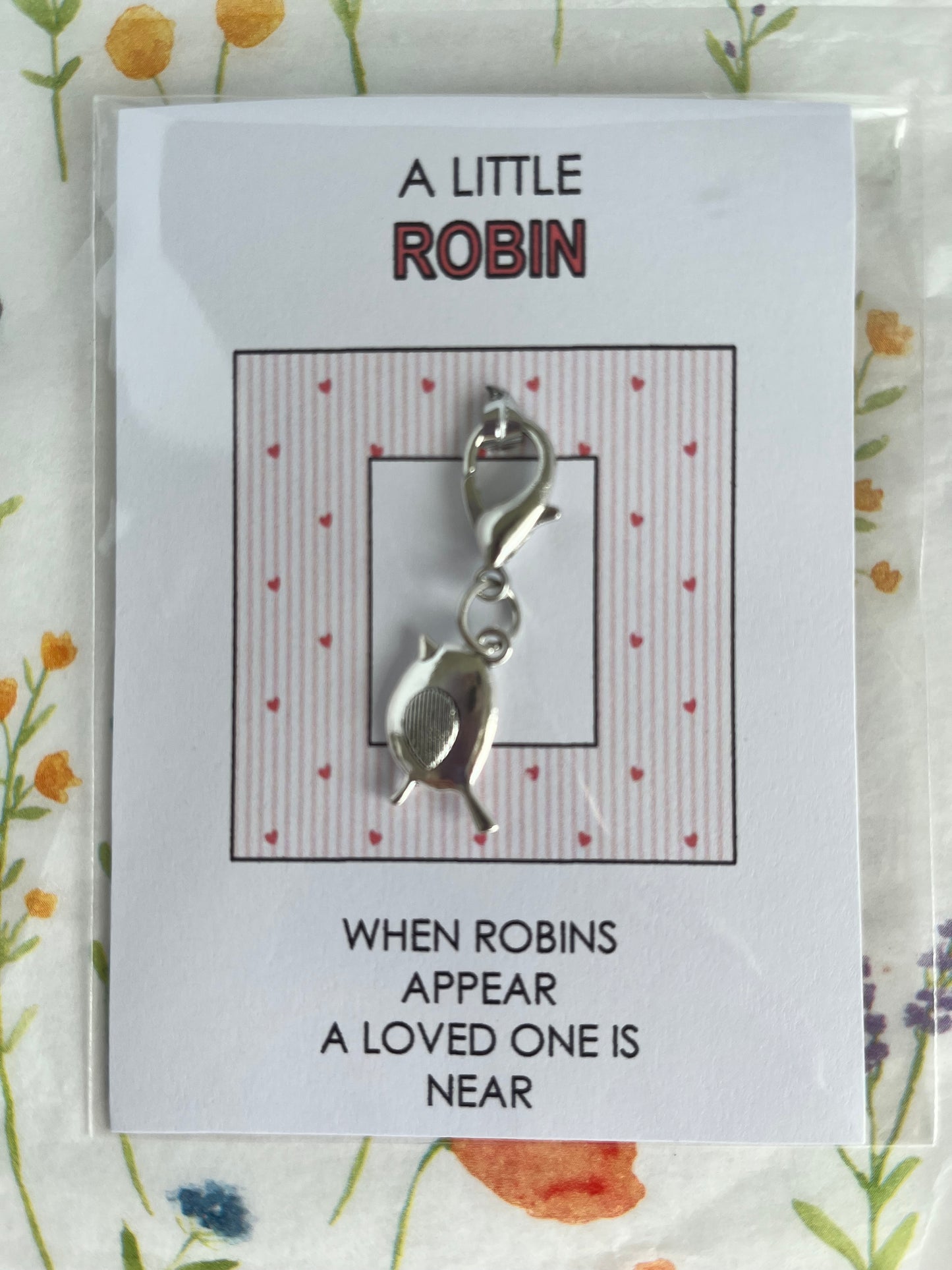 Robin Letterbox gift