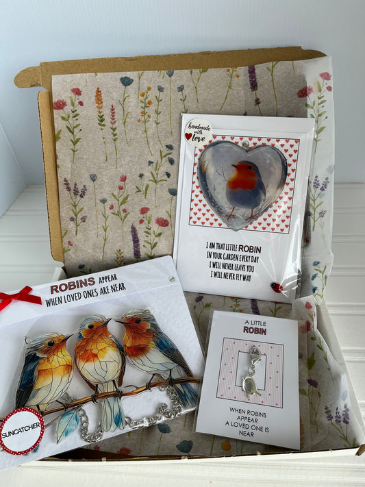 Robin Letterbox gift