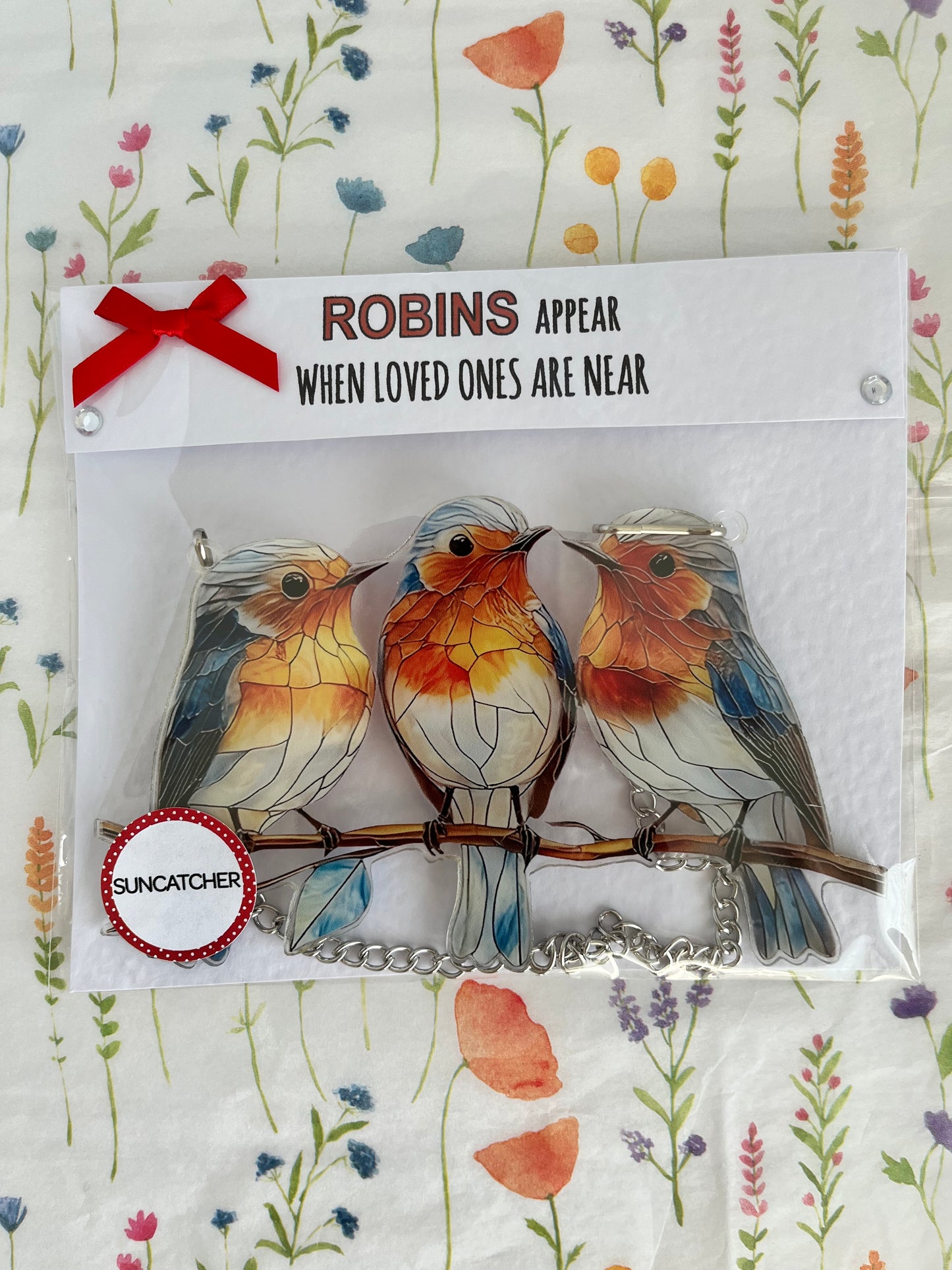 Robin Letterbox gift